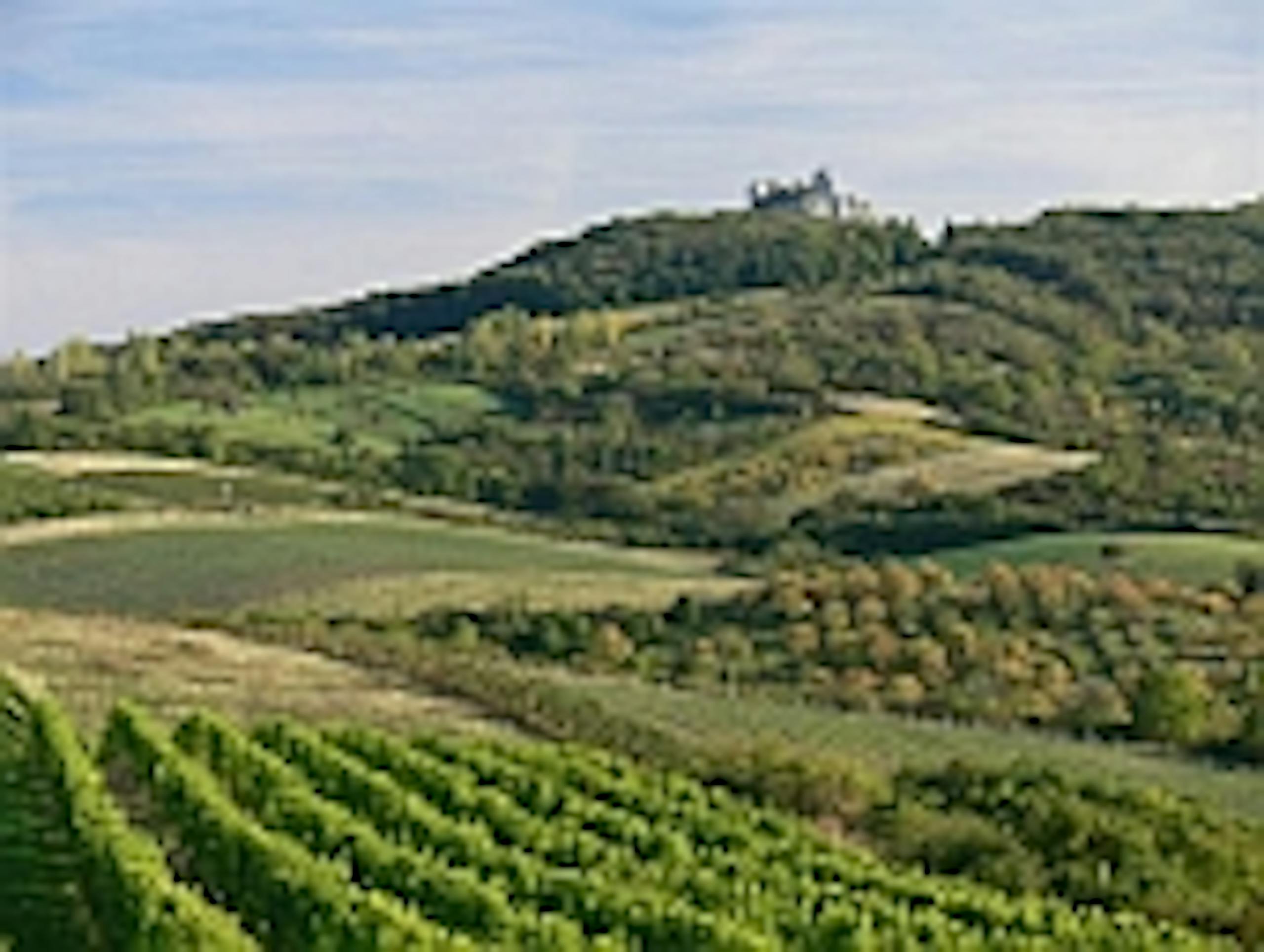 vinarska krajina architektura