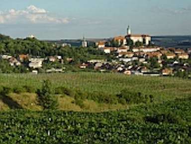 ekolog zakony