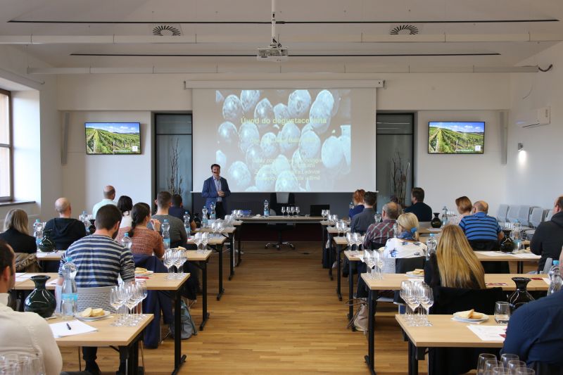 Degustace vína - věda i umění | Valtice | 16. 7. 2022