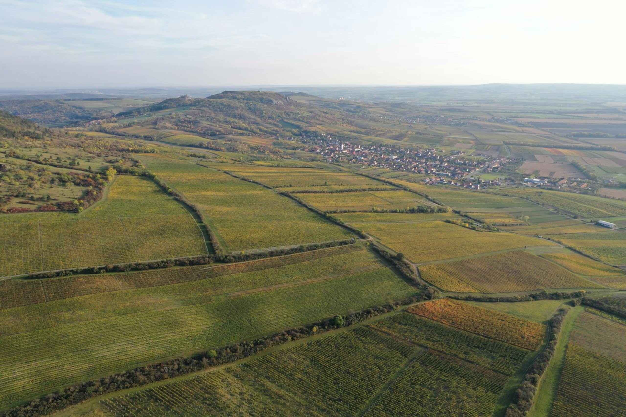 Pálava