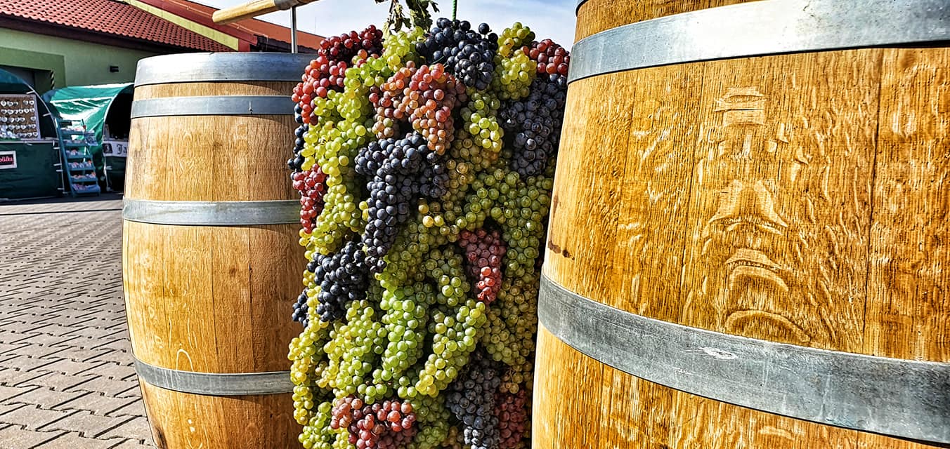 Velkobílovické vinobraní | Velké Bílovice | 1. 10. 2022