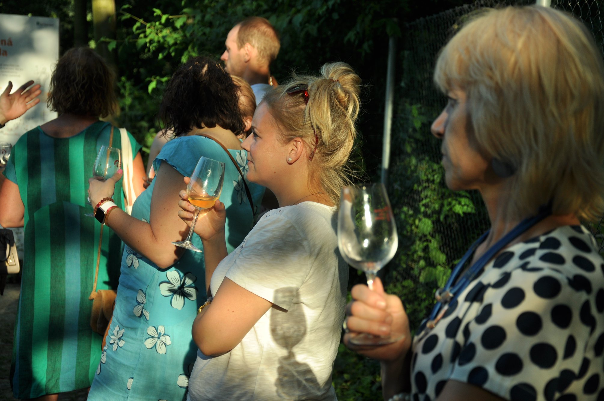 Víno z blízka v Otevřené zahradě | Brno | 28. 7. 2022