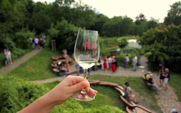 Víno z blízka v Otevřené zahradě | Brno | 11. 8. 2022