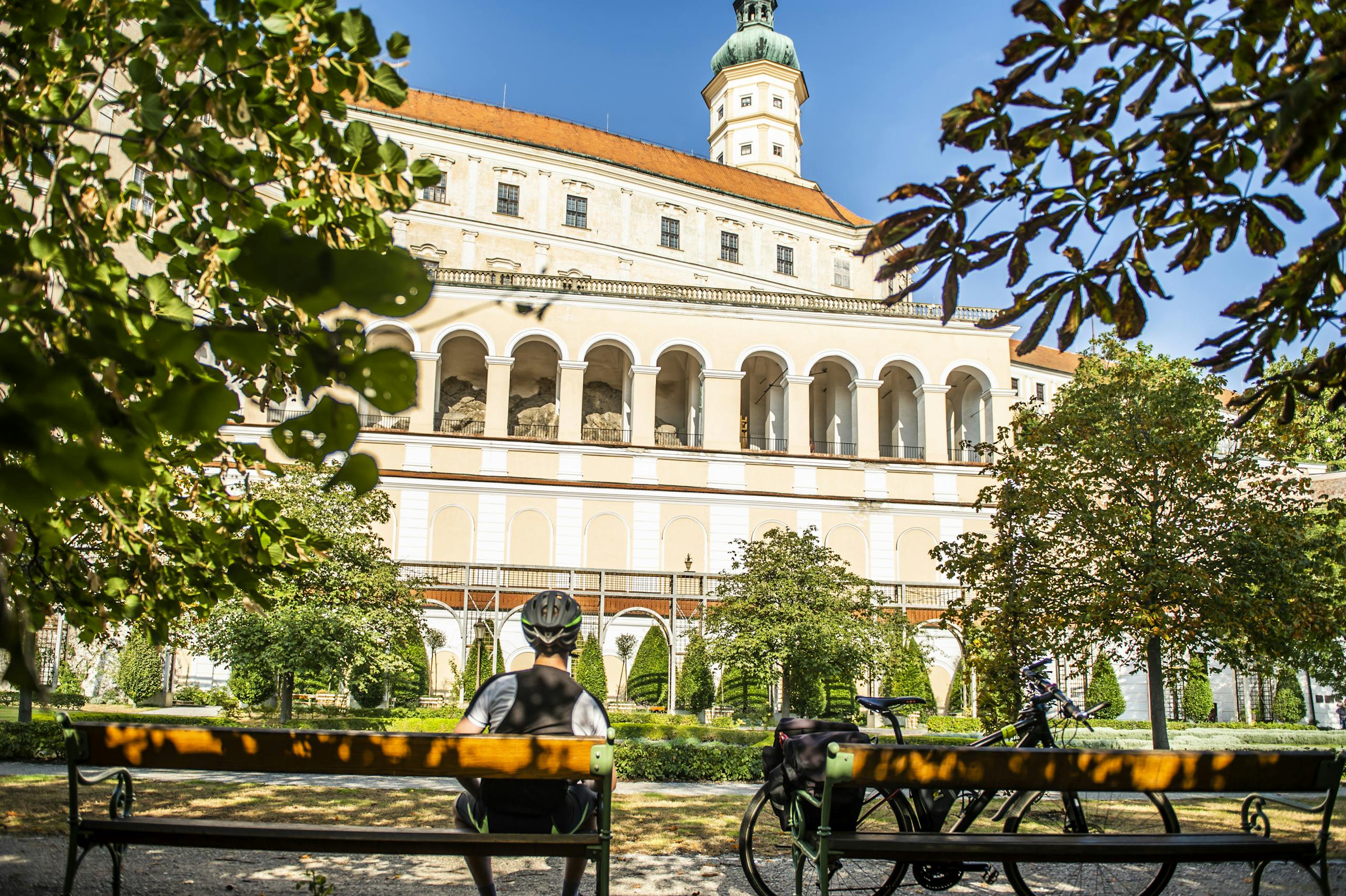 Moravská vinná - Mikulovská