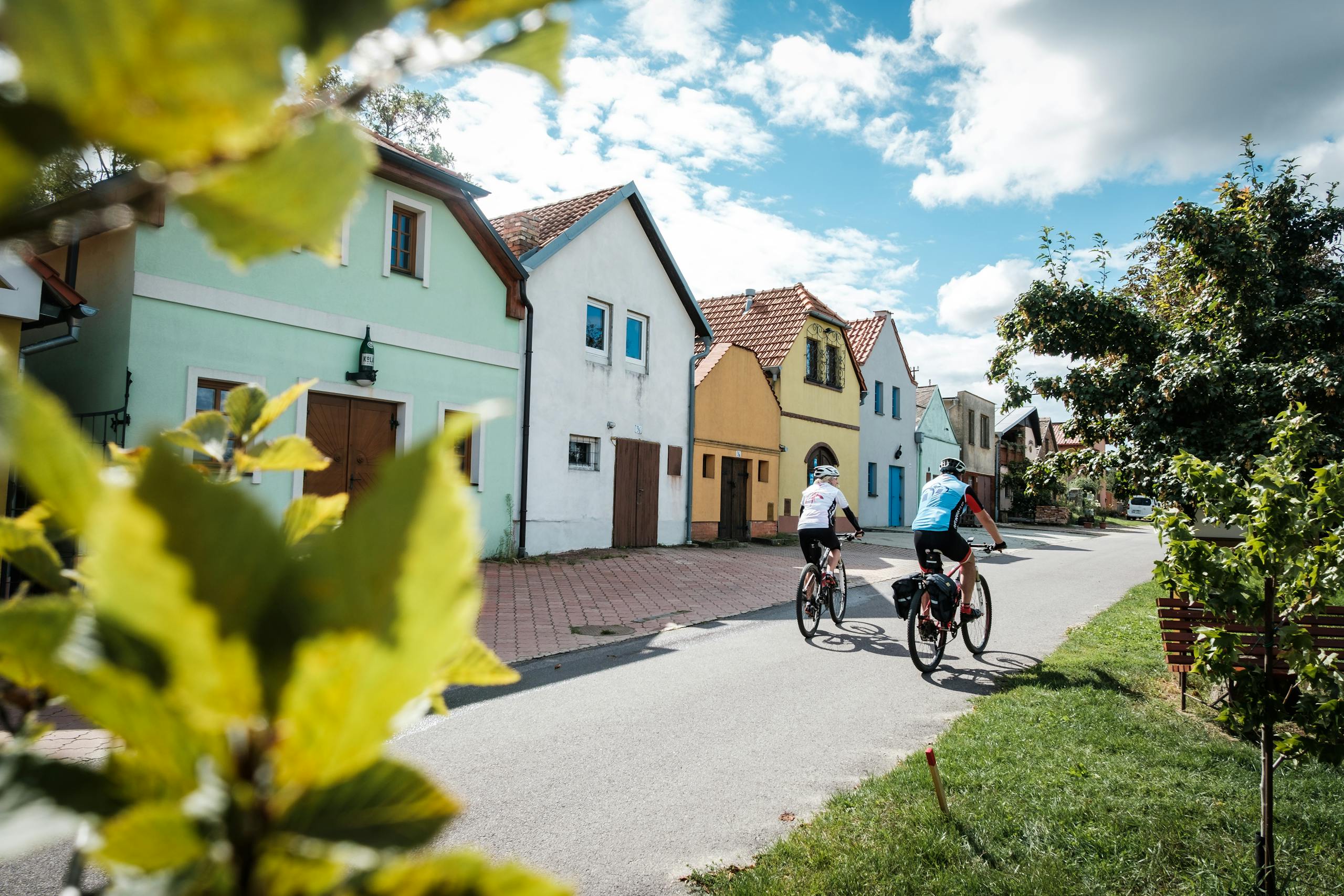 Moravská vinná - Znojemská