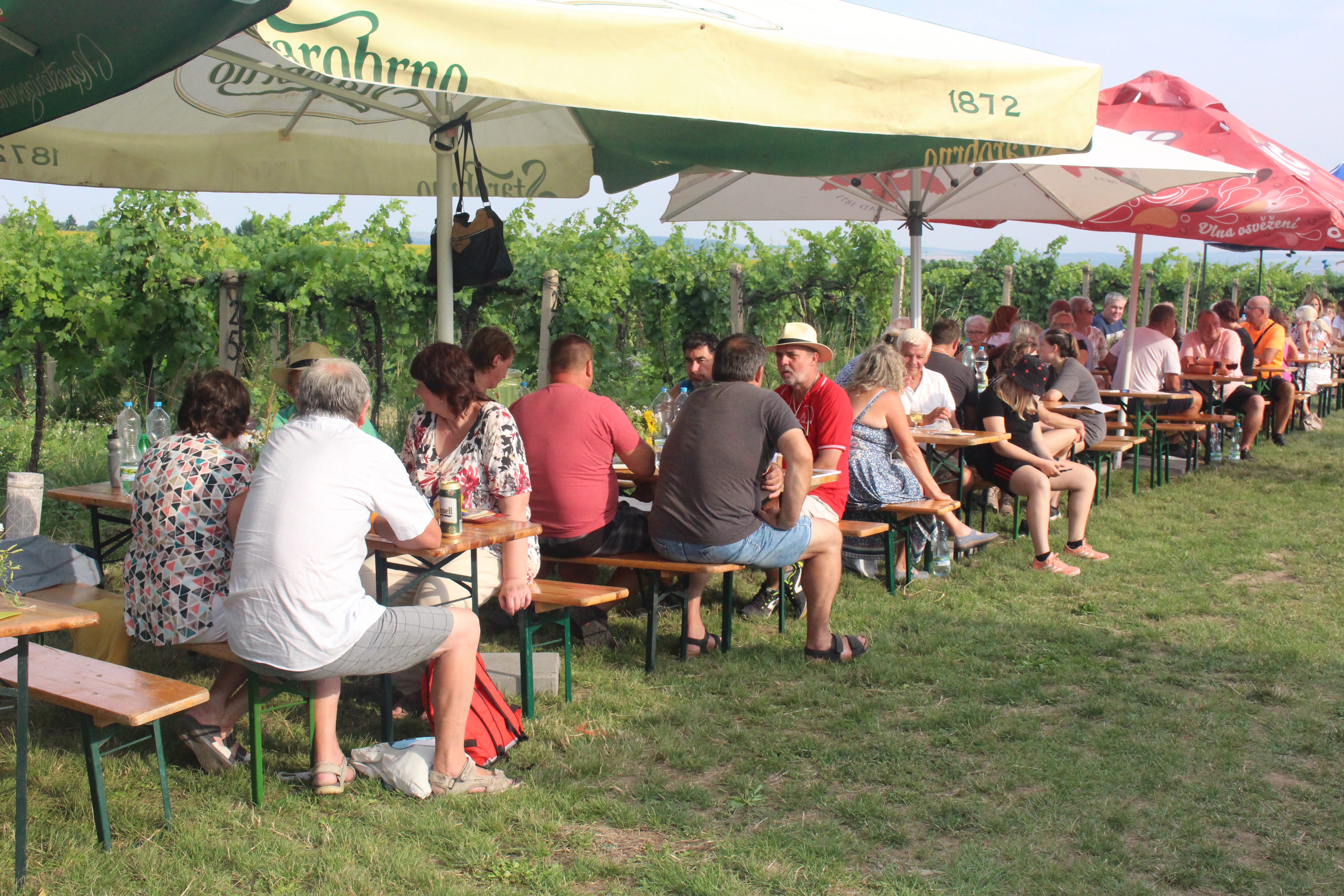 Ochutnávka vín ve vinohradu pod Mohylou Míru | Sokolnice | 16. 7. 2022
