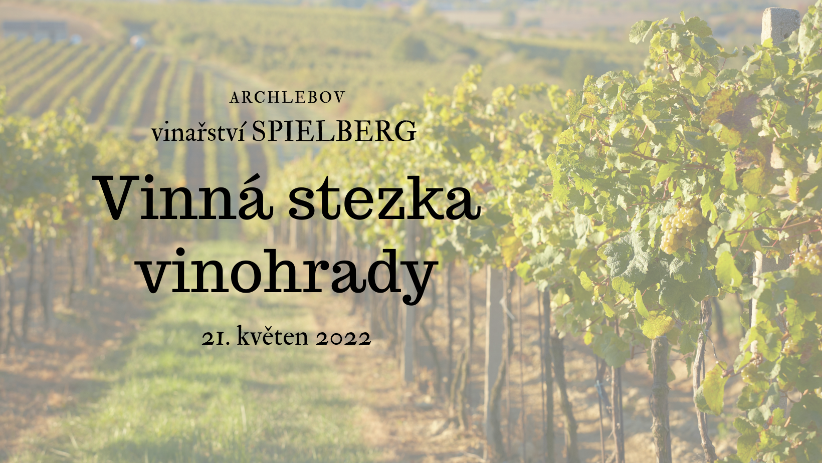 Vinná stezka našimi vinohrady - Spielberg, Vinařství Žarošice a Smejkal wine | Archlebov | 21. 5. 2022