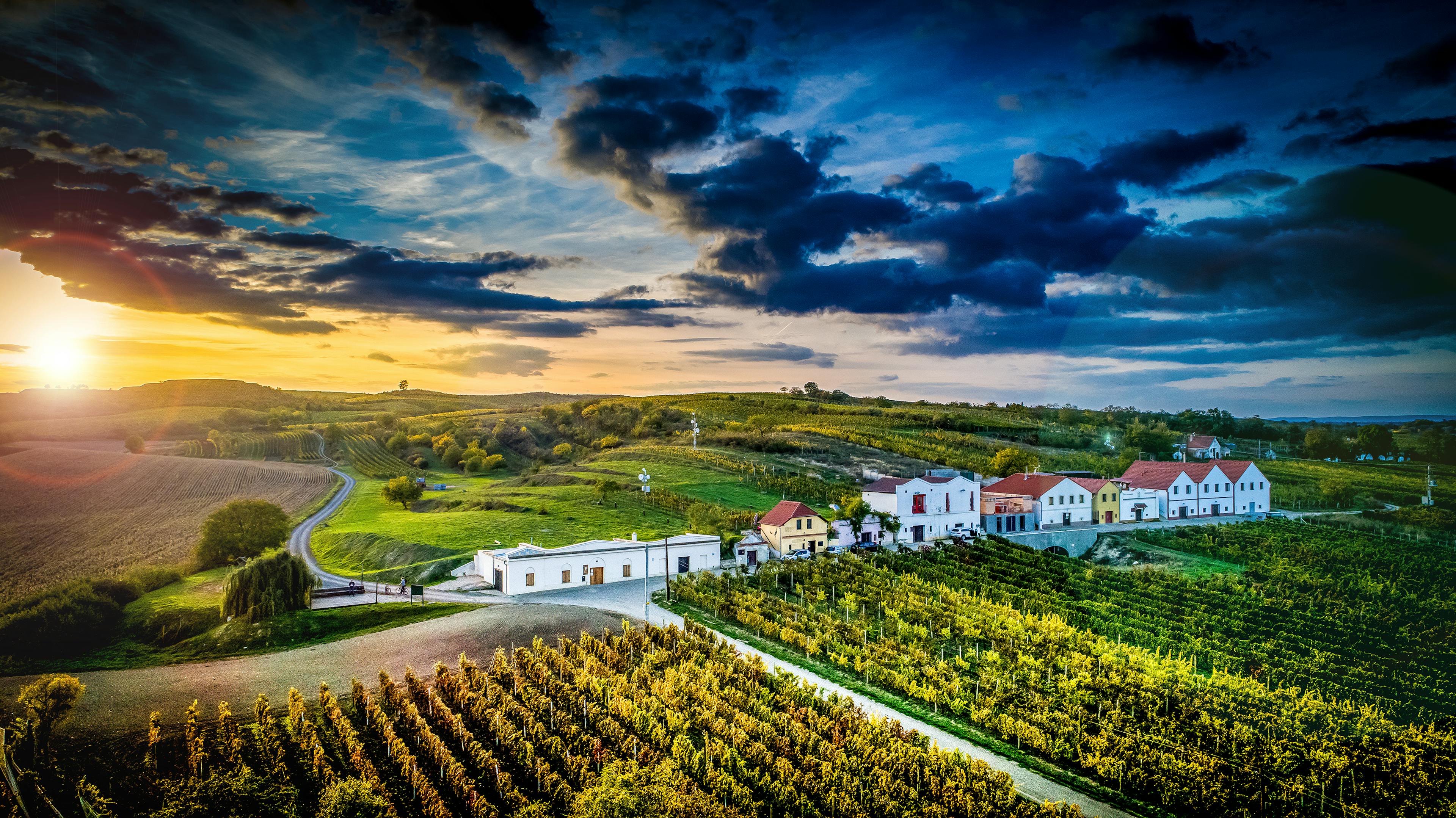 VINA STV MIKROSV N MIKULOV A s V na Z Moravy A V na Z ech VINA STV MIKROSV N MIKULOV A s V na Z Moravy A V na Z ech
