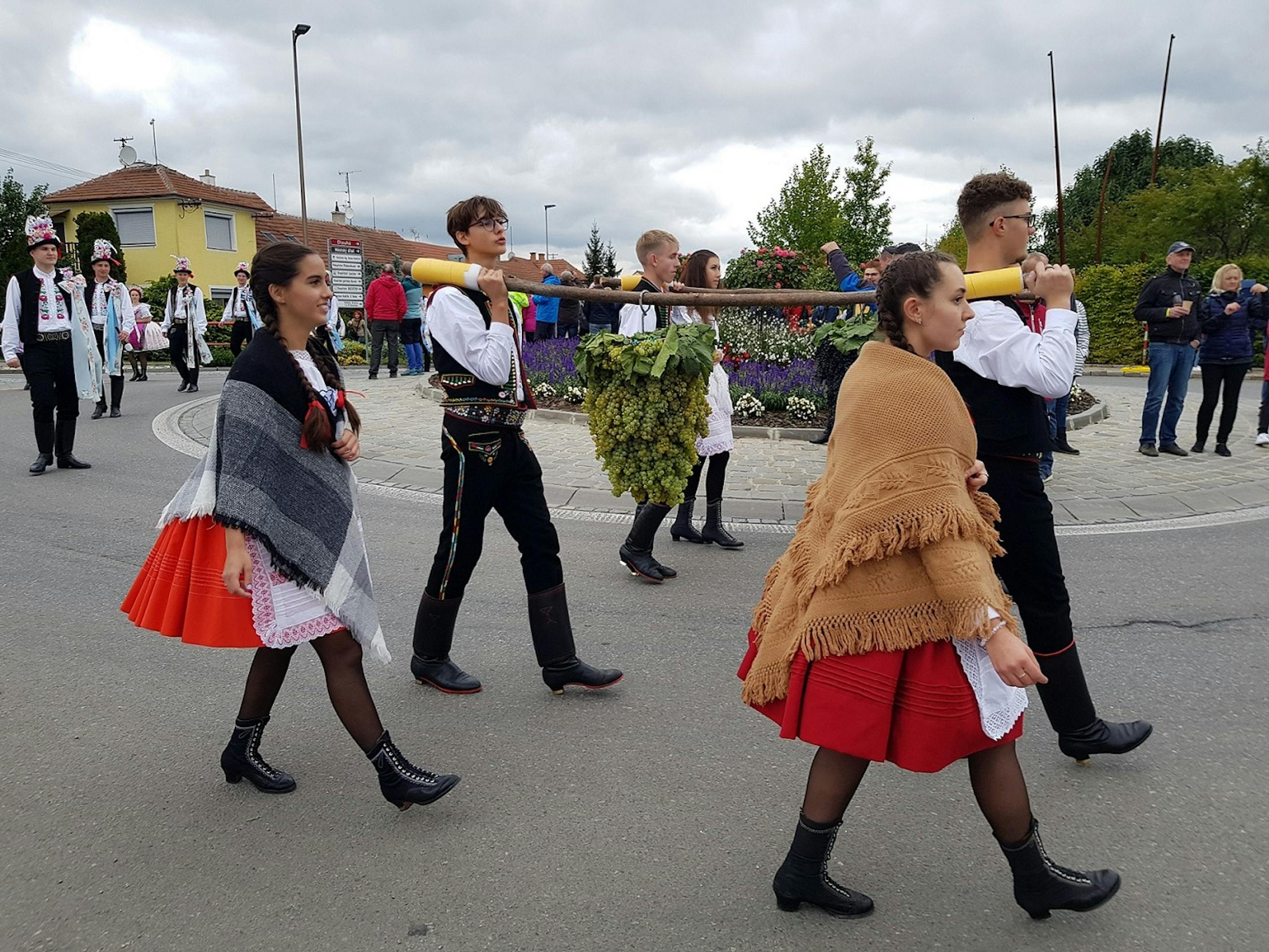 velkopavlovické vinobraní