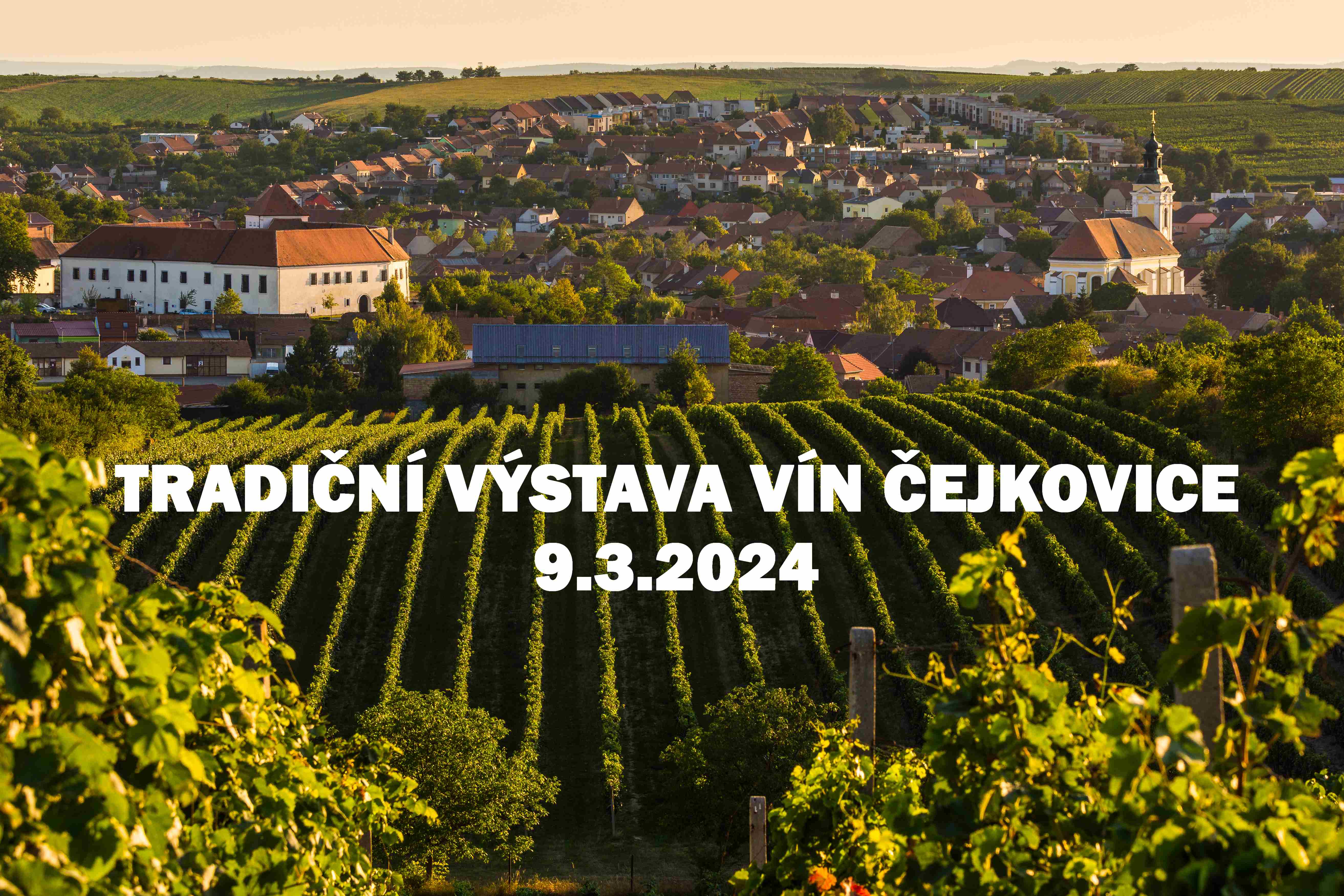 Tradiční výstava vín Čejkovice | Čejkovice (okres Hodonín) | 9. 3. 2024