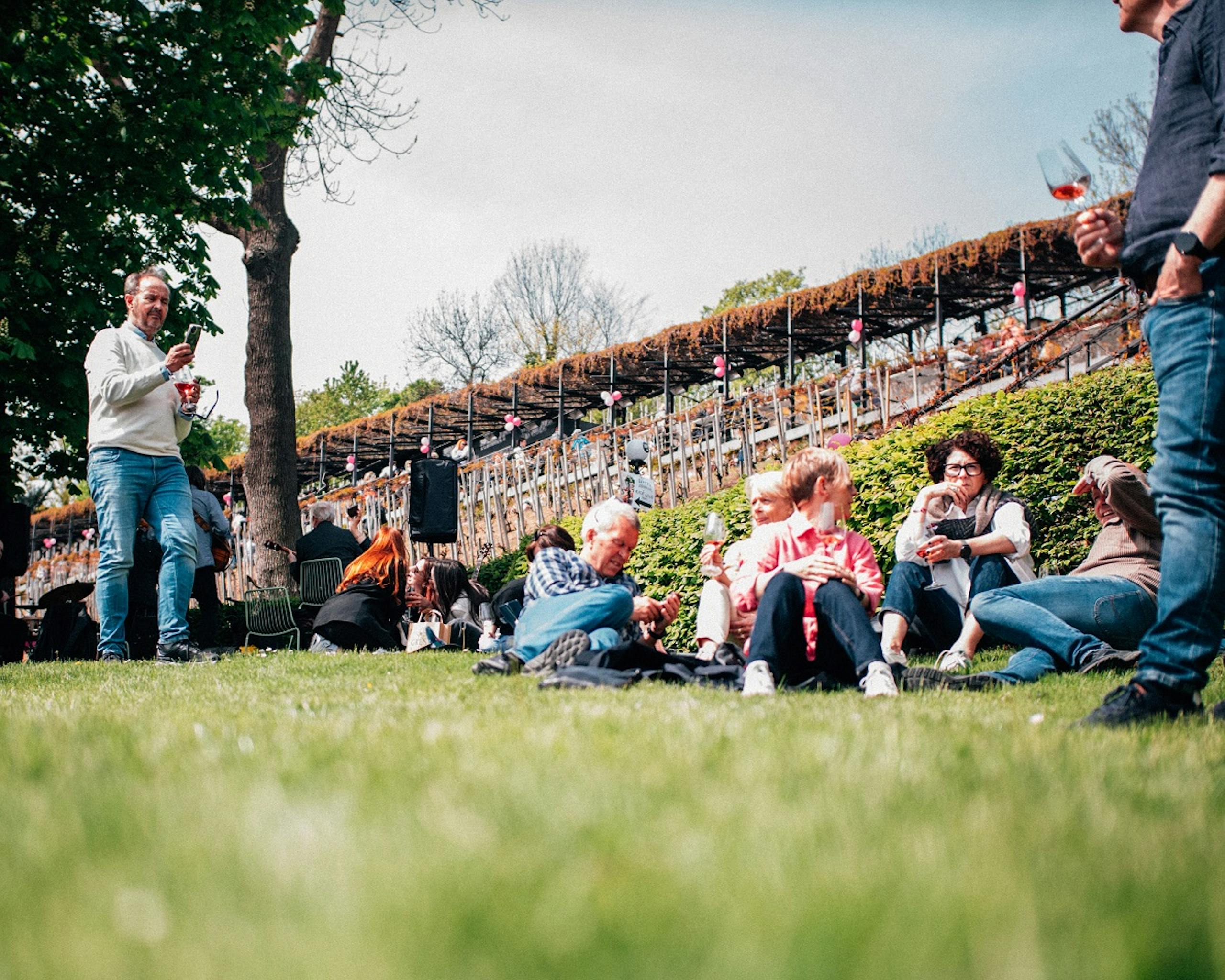 Svátek růžových vín 2024