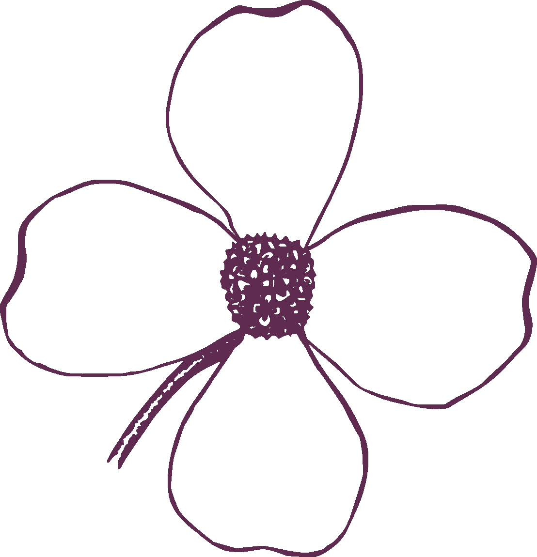 Richmond Plastic Surgeons