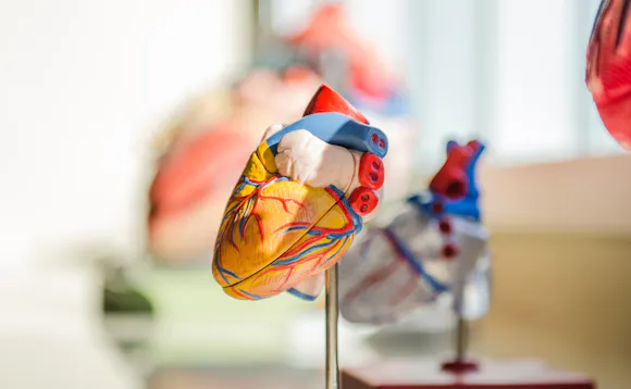 Årsaker til hjerteflimmer