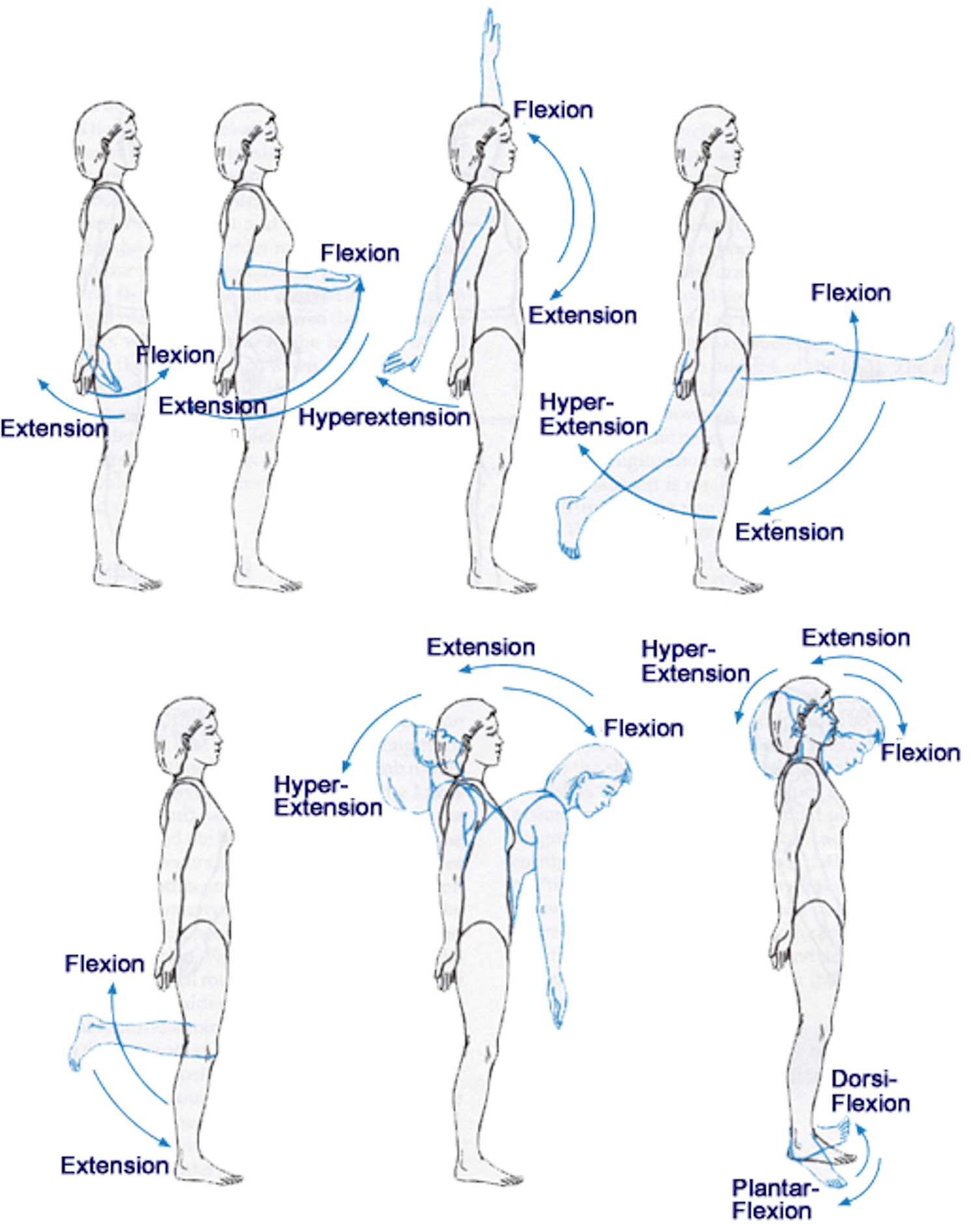 Unlocking The Mystery: Extension Vs. Hyperextension Explained - pxolie3