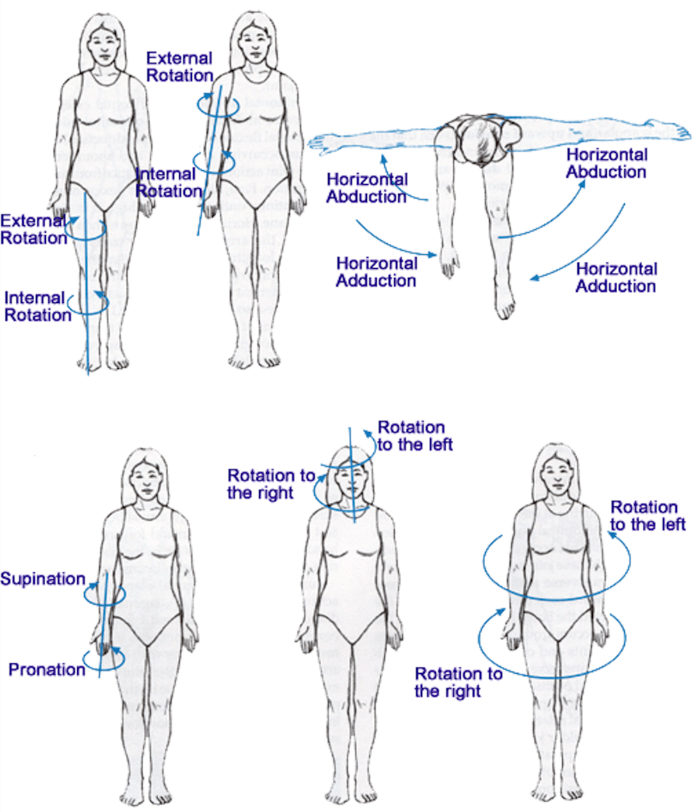 Course - Joint Actions