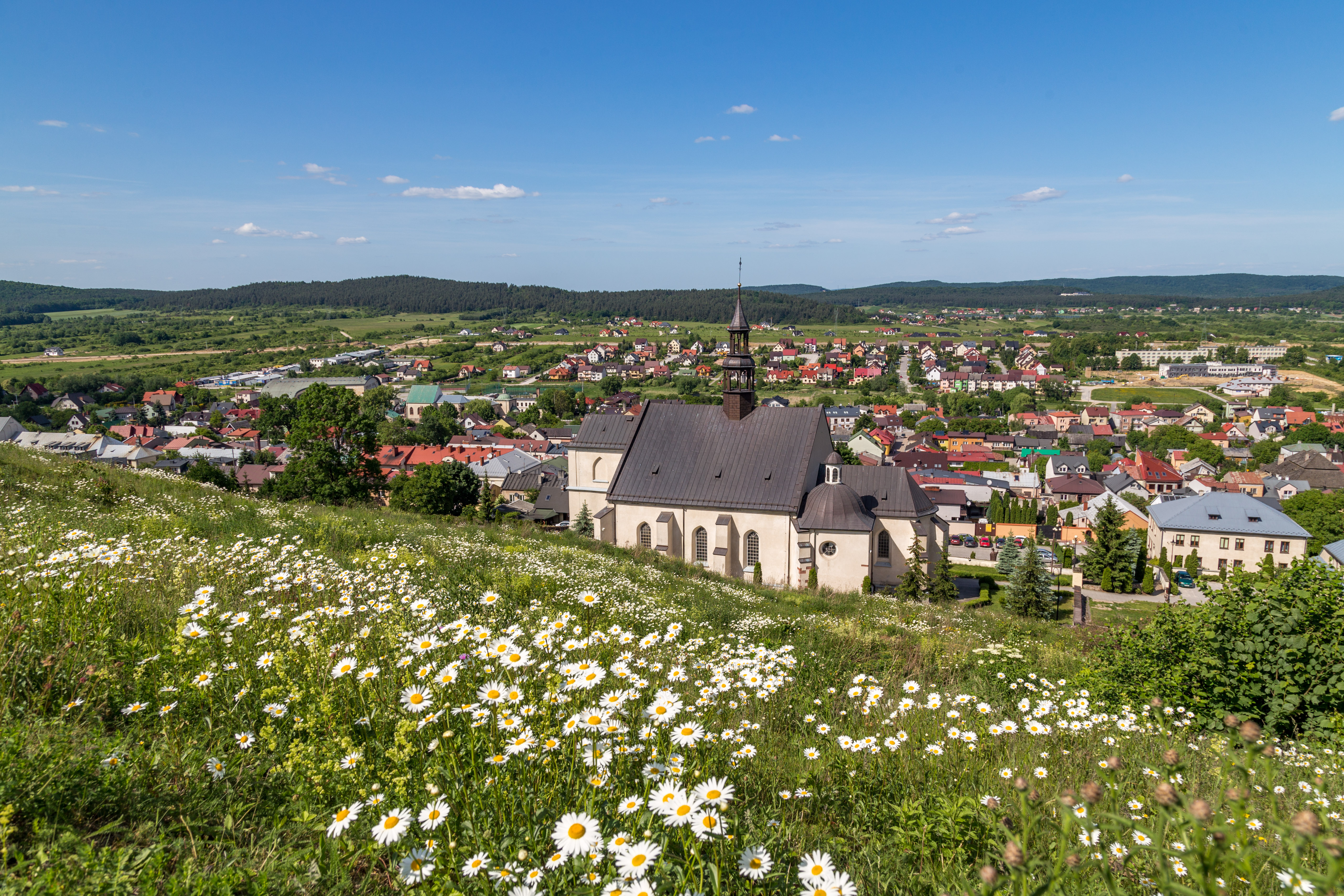 Krajobraz Świętokrzyski