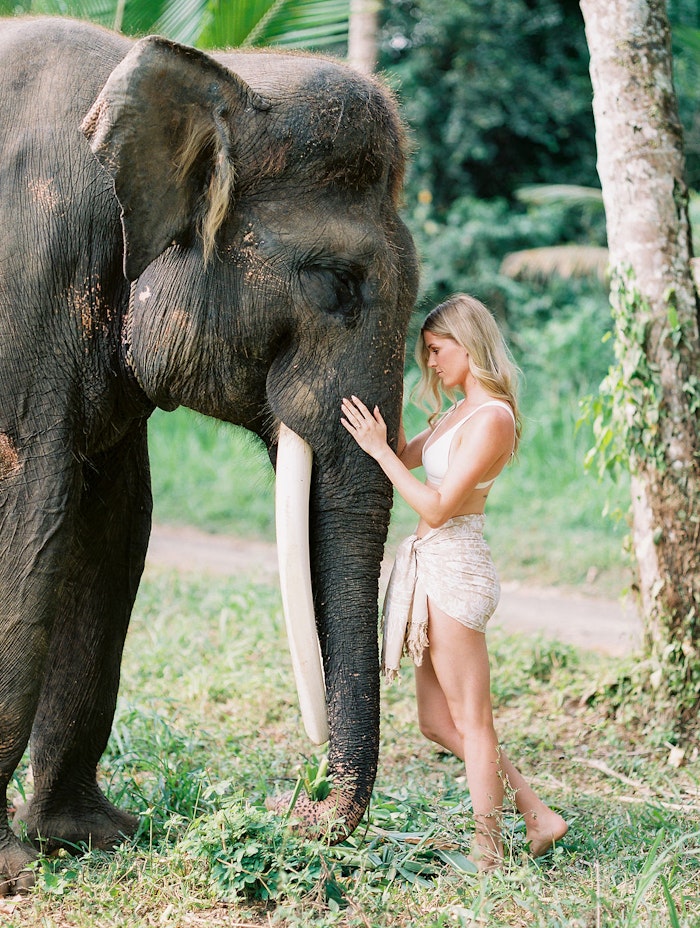 Bride gently touching an elephant during a Bali engagement session, surrounded by lush greenery and soft natural light