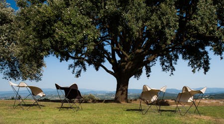 The view of the emerald-green hills of Chianti from the private garden of Villa Tavernaccia