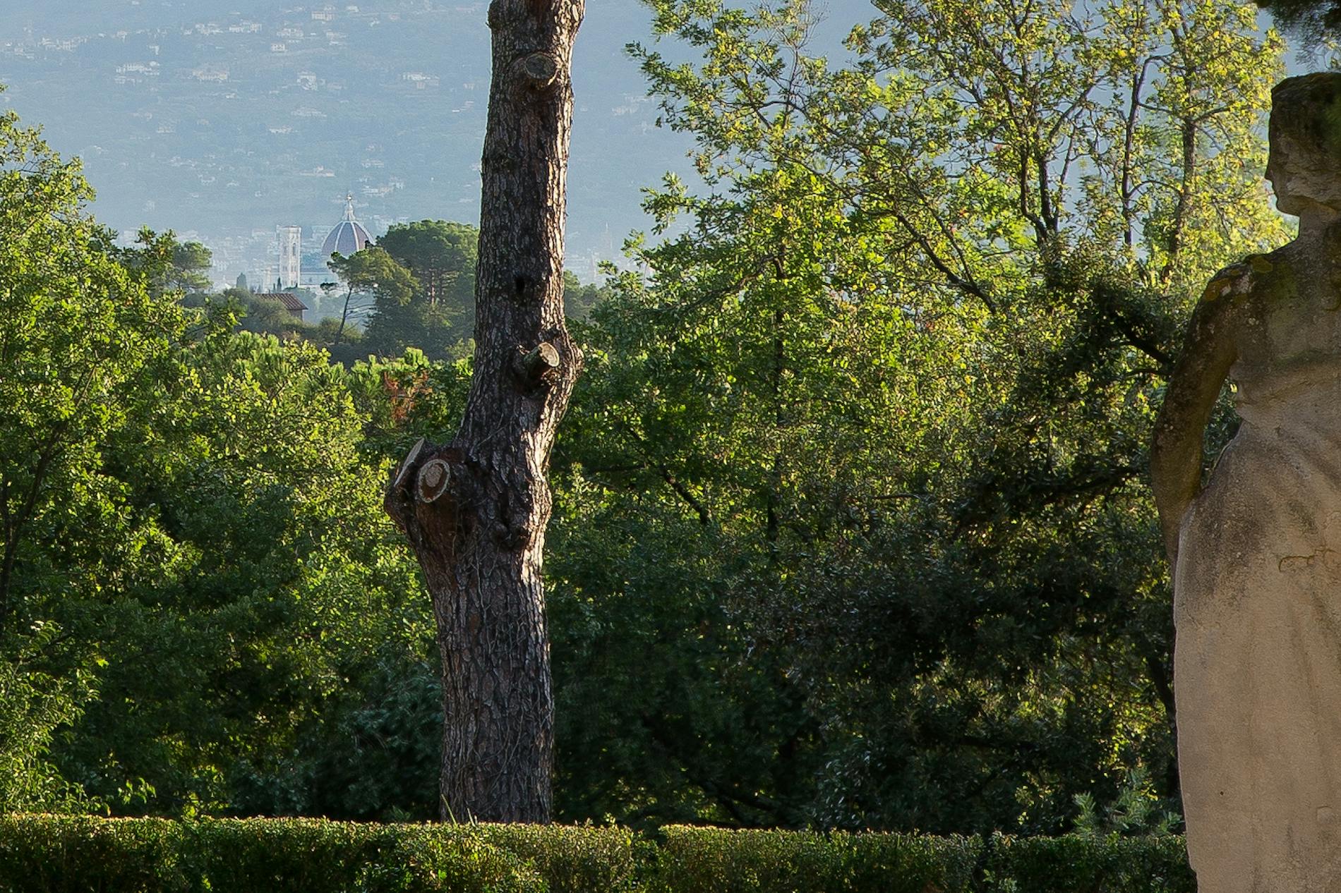 The view from the open theater