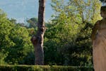 The view of the Brunelleschi Dome from the Villa's Open Theater in its garden.