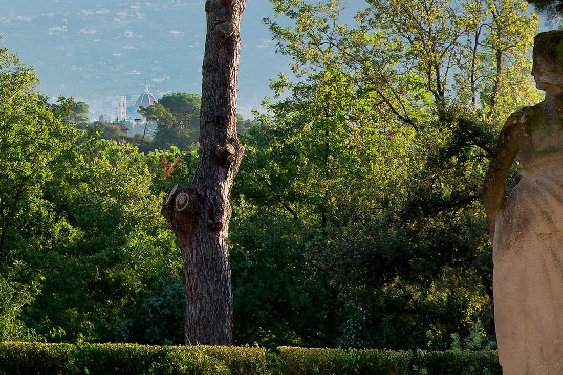 The Brunelleschi Dome The view of the Brunelleschi Dome from the open theater in Villa La Tavernaccia