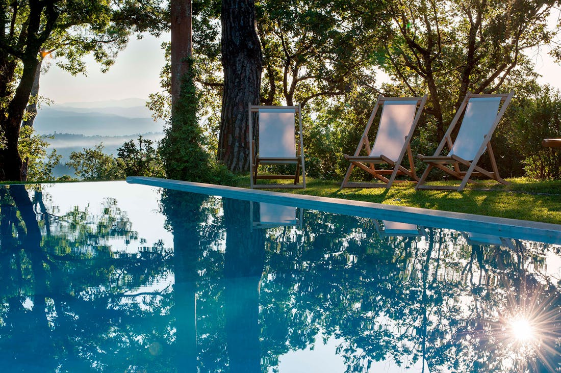 A view of the swimming pool, surrounded by trees