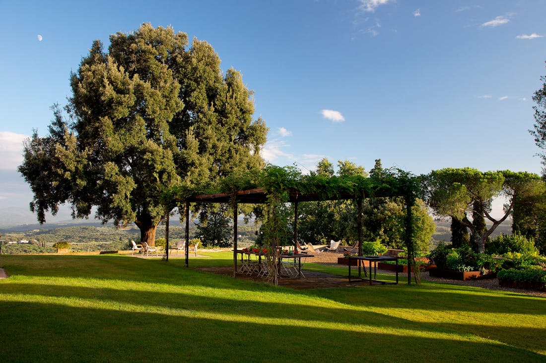 The patio near the vegetable garden during sunset