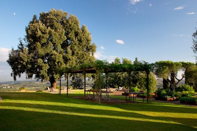 The patio near the vegetable garden during sunset