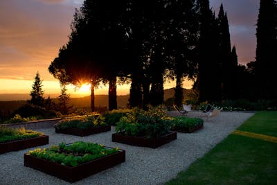 The vegetable garden inside the private garden of Villa Tavernaccia