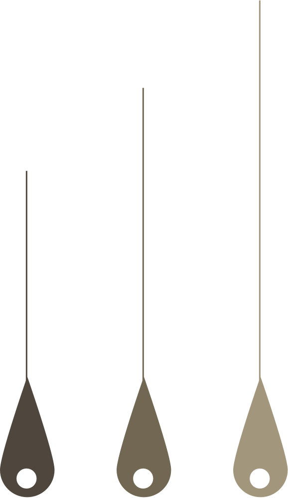 Hair Transplant Hawaii Shim Ching MD