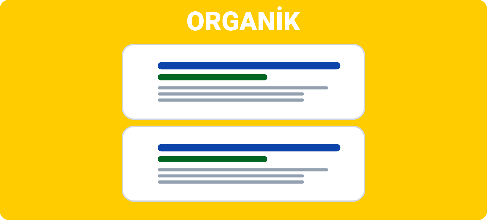 Organik Arama Sonuçları