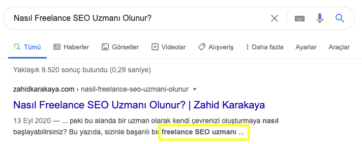 SERP Açıklaması