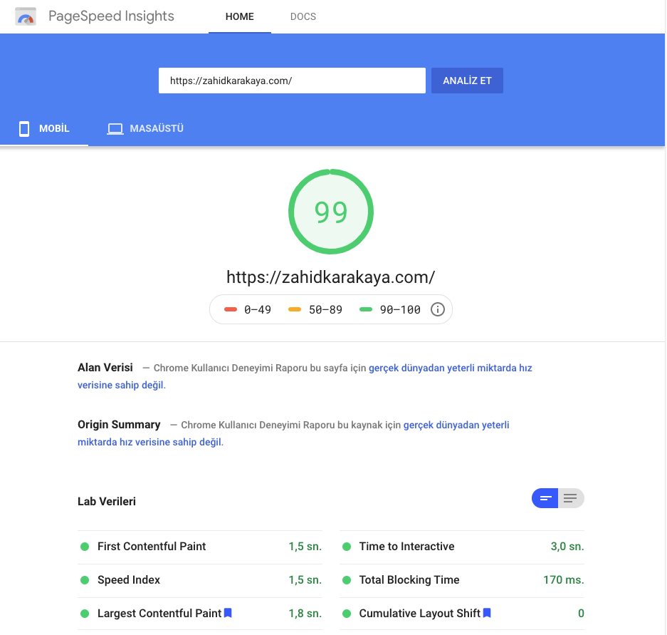 PageSpeed Sayfa Hızı Sonuçları
