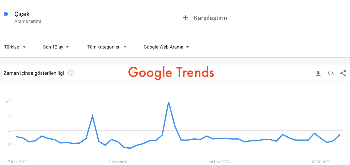 Google Trends Verileri