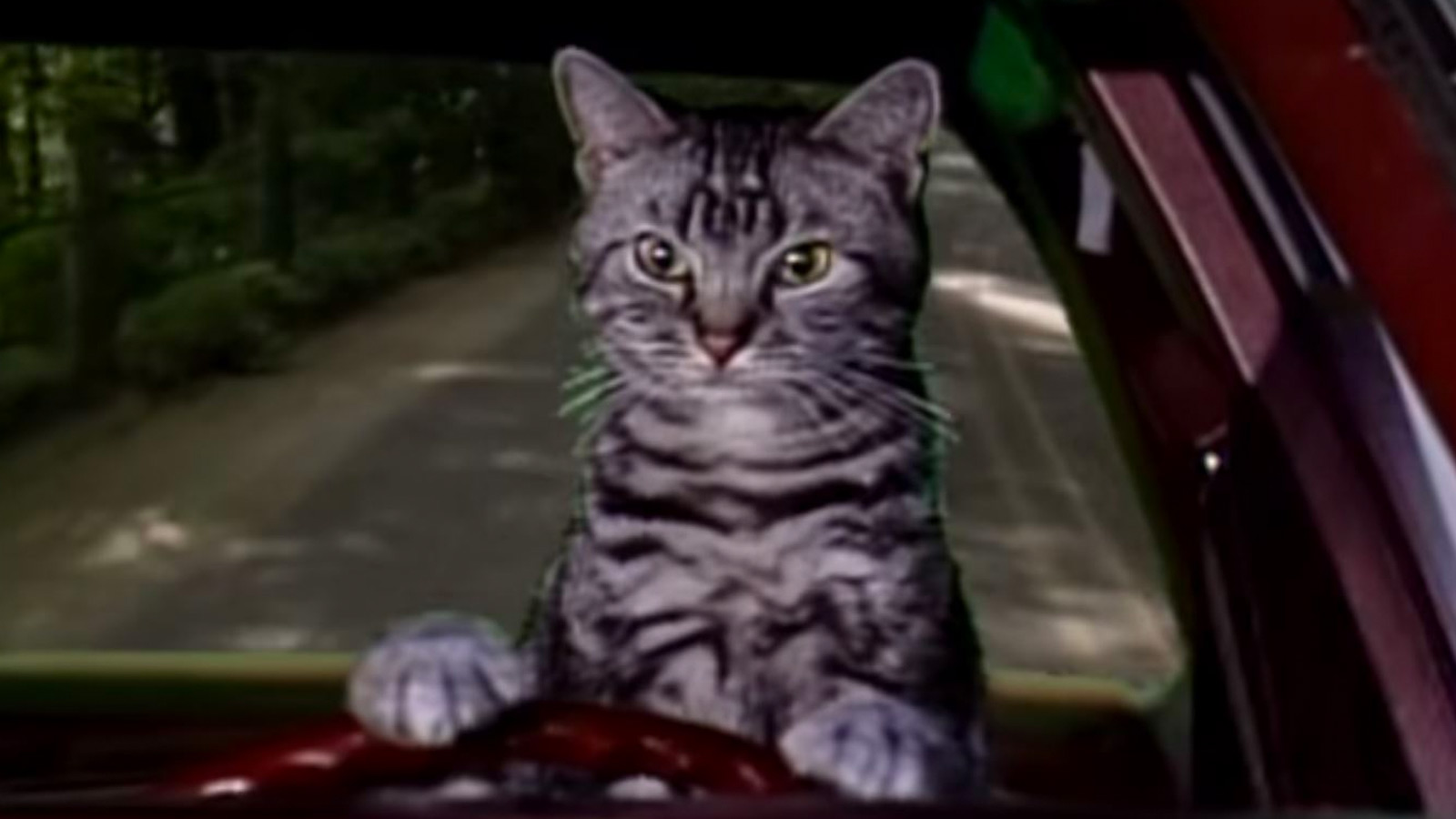 should you buy a cat c car