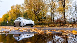 White Toyota Prius on autumn road in rainy day
