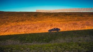Shadow of a moving car