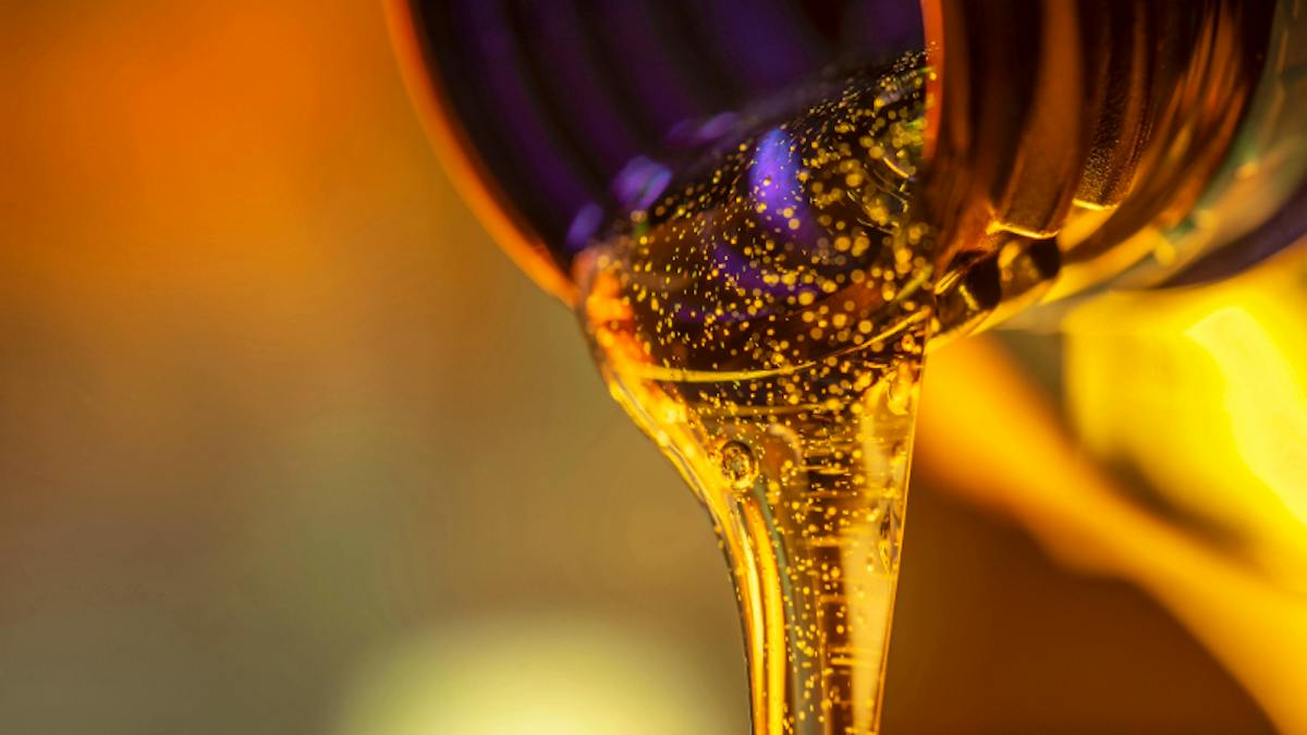 Auto Oil Tea When The Warning Comes Too Late -- or Not At All - Car Talk