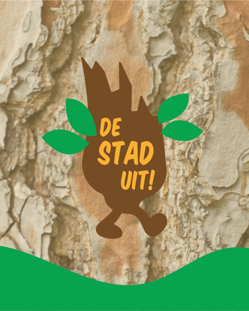 Cover image for De Stad Uit