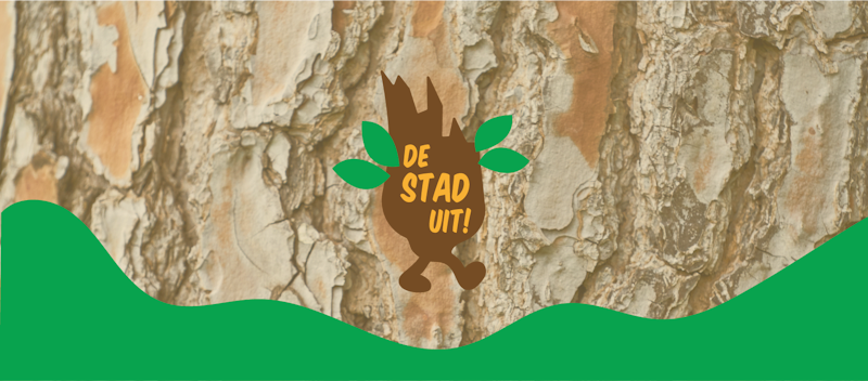 Cover image of De Stad Uit project
