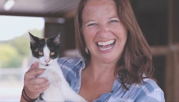 Heifer International's kitty makes an appearance during Hack Week