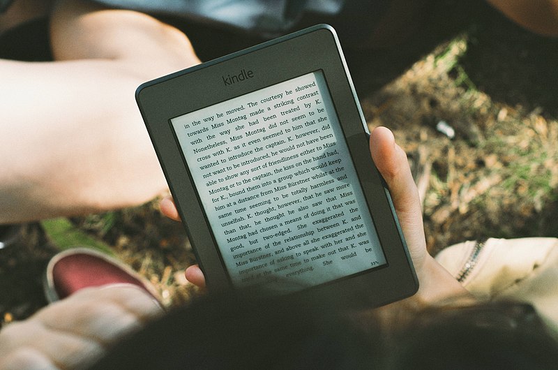 People lying in park reading