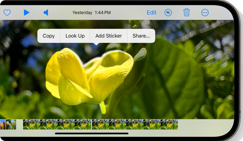 Visual Lookup iOS 17 feature on an iPhone