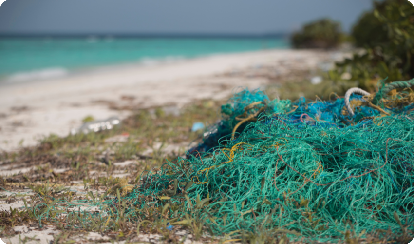 Discarded fishing nets (ghost nets) on a beach.