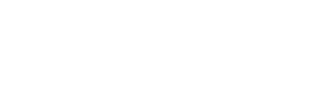 logo blanco de la empresa ids