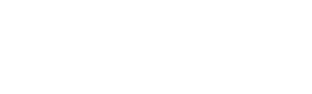 logo blanco iconnect