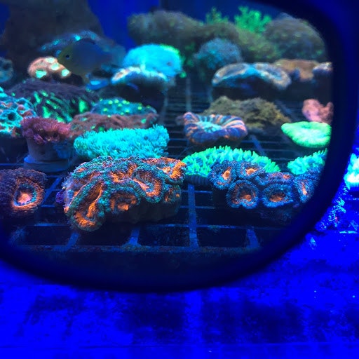 publicidad urban natura