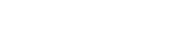 logo blanco boho chic