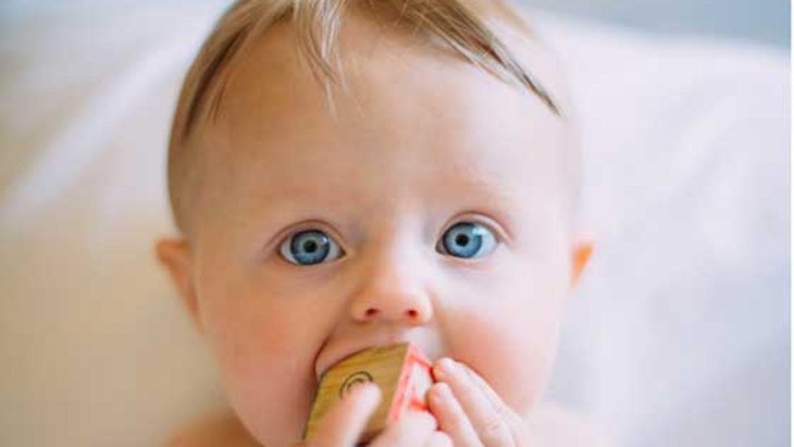 publicidad greenbaby