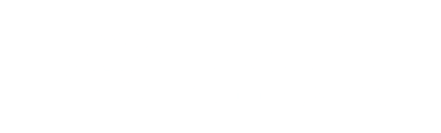 logo blanco de la empresa "desafío psicotécnico"